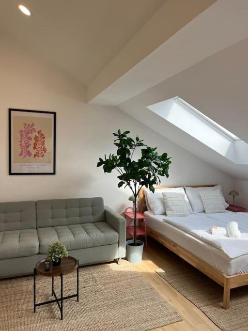 Apartamento Dreamy & Cozy With Air Condition *
