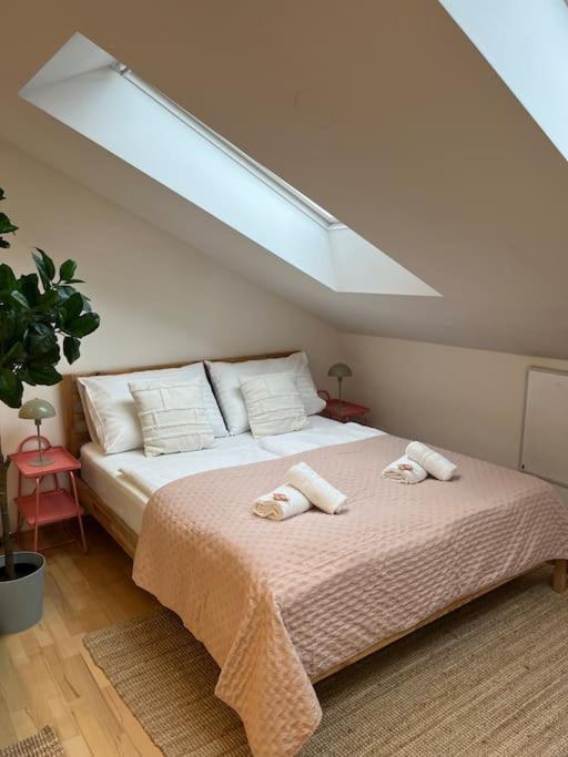 Apartamento Dreamy & Cozy With Air Condition